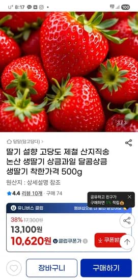 논산 설향 딸기 500g