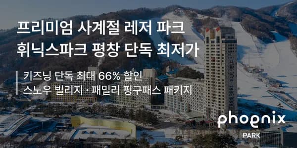 휘닉스파크 스노우빌리지 패키지