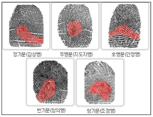 지문적성검사