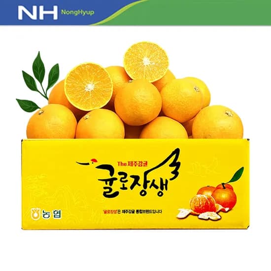 귤로장생 고당도 황금향 4kg 중소과