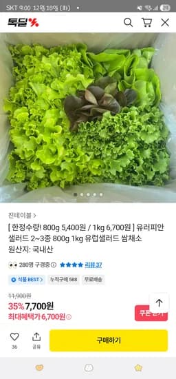 카카오 유러피안샐러드 2~3종 1kg