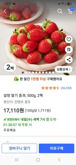 설향 딸기 500g x 2팩