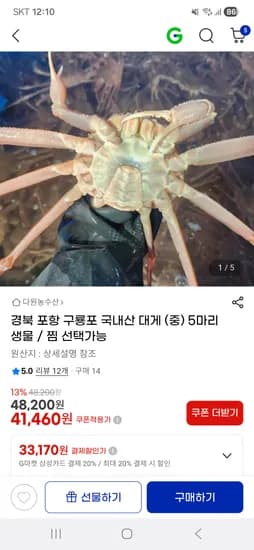 포항 구룡포 국내산 대게 (중) 5마리