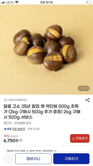 25년 칼집 햇 약단밤 500g