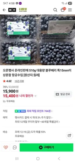 더팜몰 칠레산 생블루베리 510g 2팩