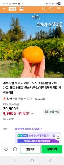 봄이네 제주 고당도 조생감귤 3kg