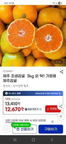 제주 조생감귤 3kg