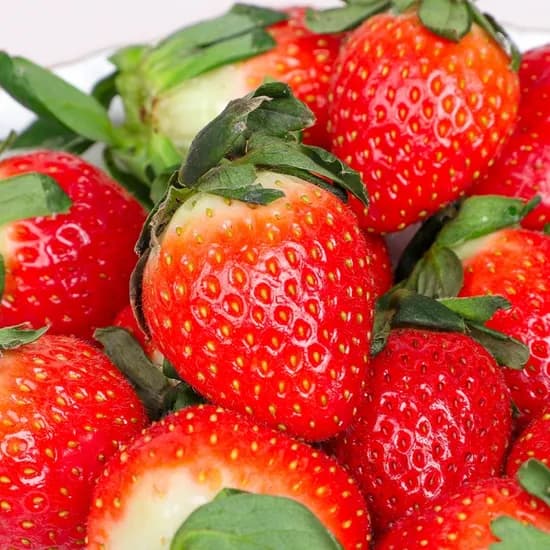 논산 설향 딸기 700g 중사이즈 특품 20-30구