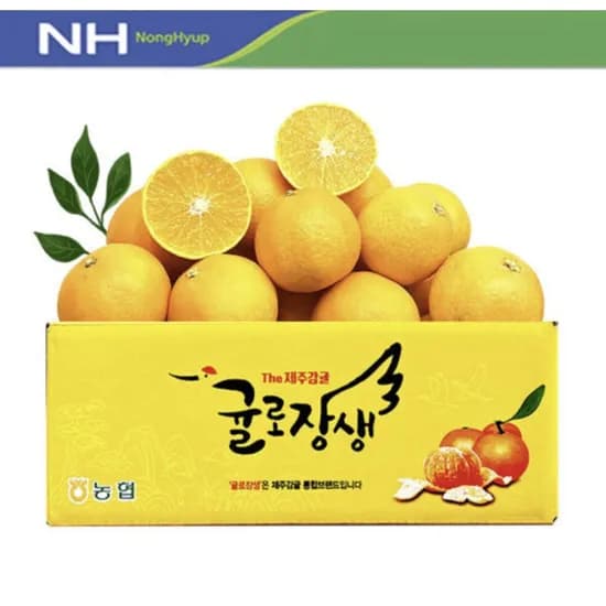 제주직송 황금향 4kg 중대과 12-19과