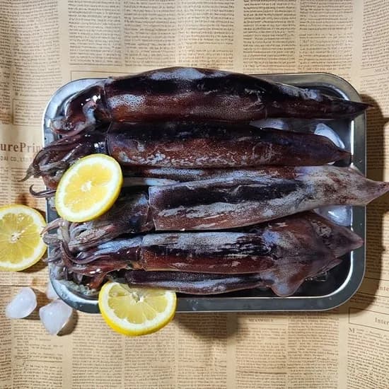 국내산 총알오징어 1kg 6-10미