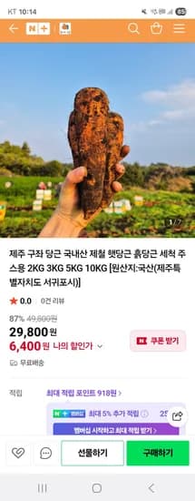 봄이네 제주 구좌 당근 특왕 3kg