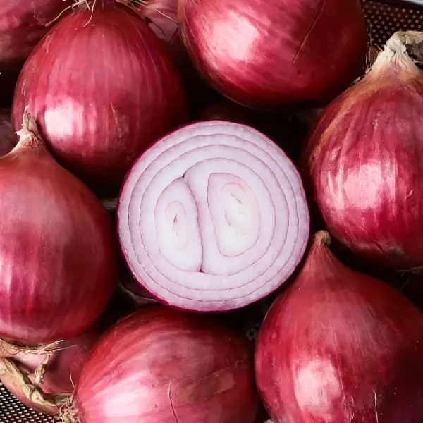 국내산 무안 자색양파 중 대혼합 3kg