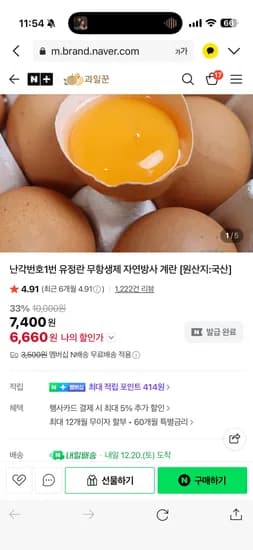 과일꾼 난각번호1번 무항생제 자연방사 유정란 계란 20구
