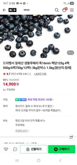 생블루베리 125g 4팩