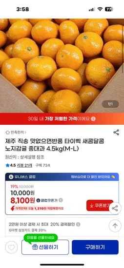제주 타이벡 노지감귤 4.5kg