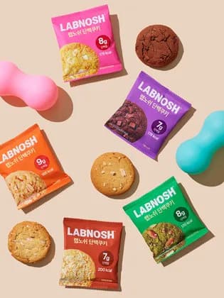 랩노쉬 단백쿠키 10개
