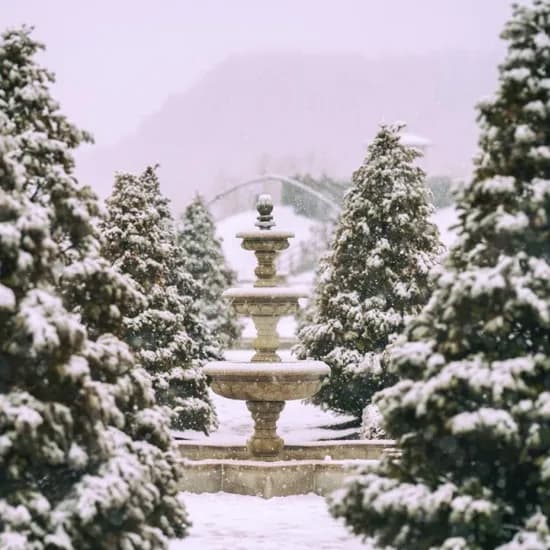 켄싱턴호텔 평창 객실 조식 키즈월드