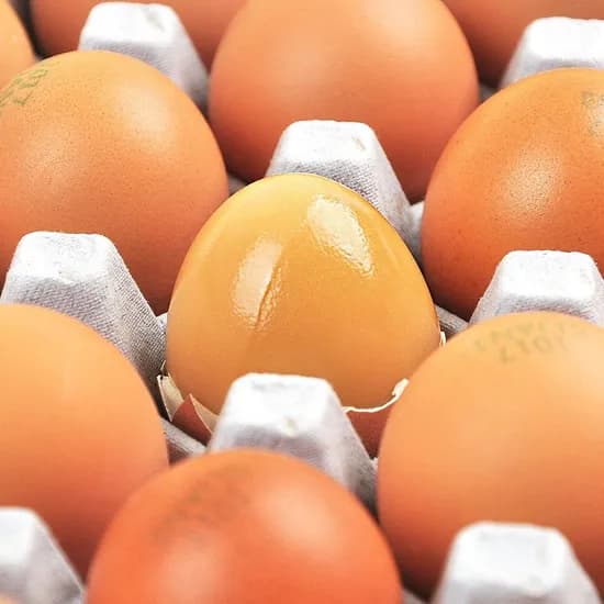 구운계란 중란 30구 2판