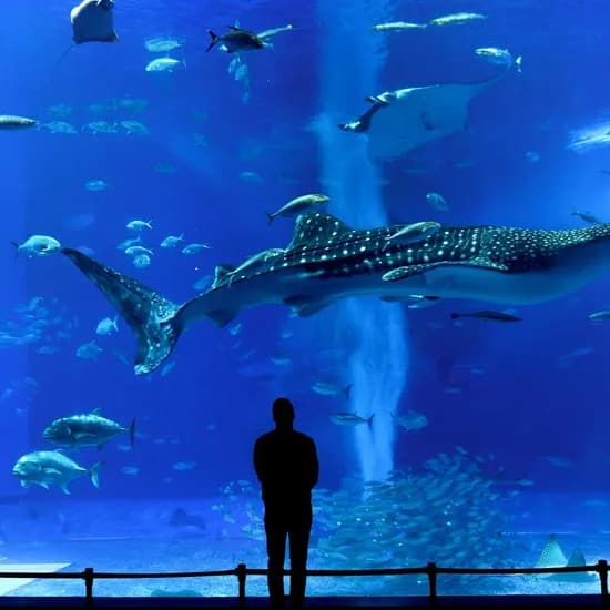 일.    *   Refined: 오키나와 자유여행 패키지 3일 4일    *   Wait, if I keep the slash, it might be