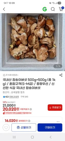 국내산 참송이버섯 500g+500g