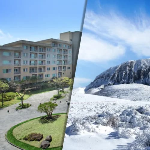 한화리조트 제주 객실 2박 한라산셔틀 사우나 3인 패키지