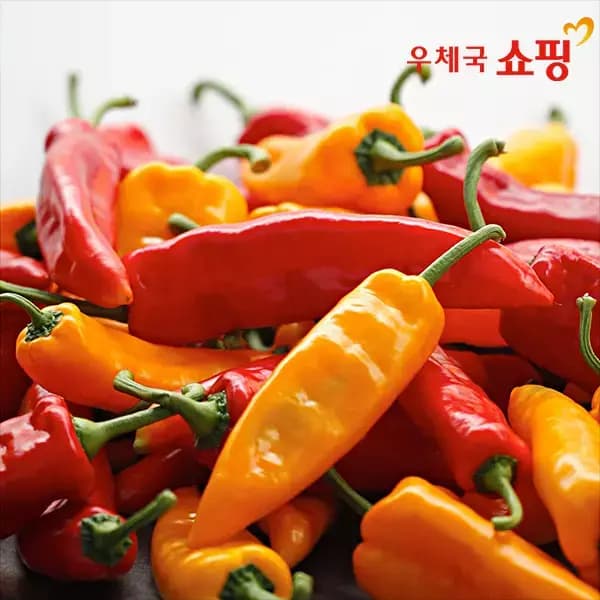전북 김제 오아로 트리벨리 파프리카 1.2kg