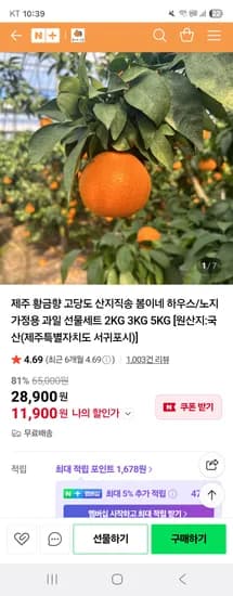 제주 황금향 못난이 3kg 혼합과
