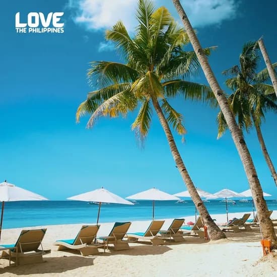 필리핀 보홀 4 5일 패키지