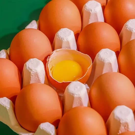 난각번호 2번 방사 유정란 20구