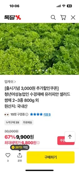 유러피안 샐러드 쌈채소 2-3종 1kg