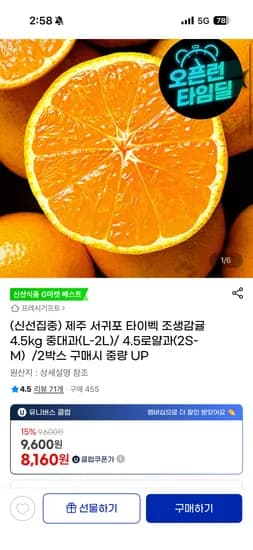 제주 서귀포 타이벡 조생감귤 4.5kg 중대과 L-2L 4.5kg 로얄과 2S-M
