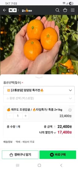 귤스데이 제주도 특품 로얄과 조생감귤 3kg