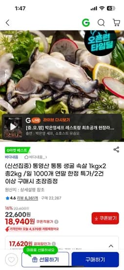 통영산 생굴 속살 2kg