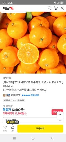 제주도 노지감귤 4.5kg 중대과