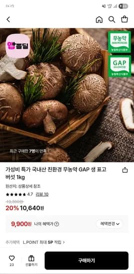 국내산 친환경 무농약 GAP 생 표고버섯 1kg