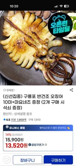 구룡포 반건조 오징어 10미