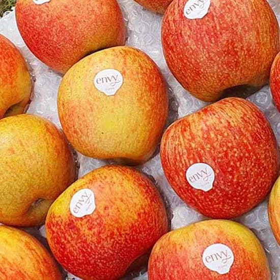 엔비사과 팬시 5kg 중소과 가정용