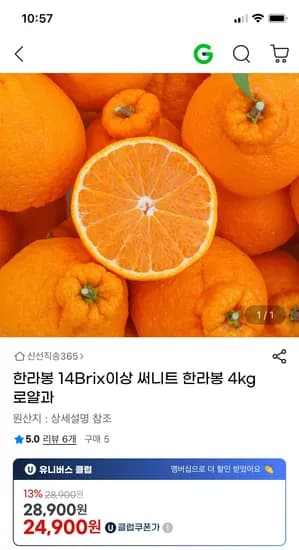 제주산 14브릭 이상 써니트 한라봉 4kg 로얄과