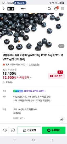 생블루베리 특대 6팩
