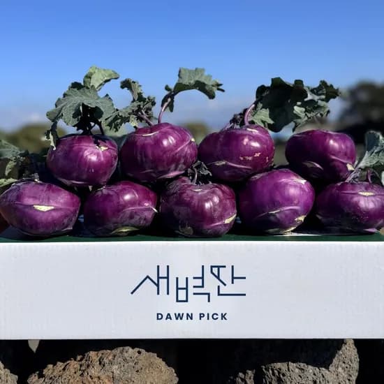 제주 콜라비 3kg 혼합