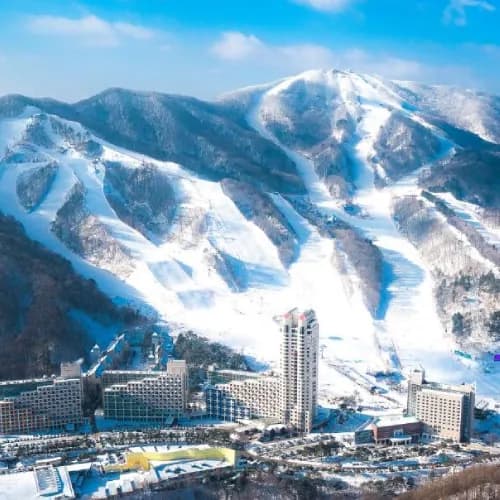 평창 휘닉스파크 객실 스노우빌리지 와플 조식 PKG