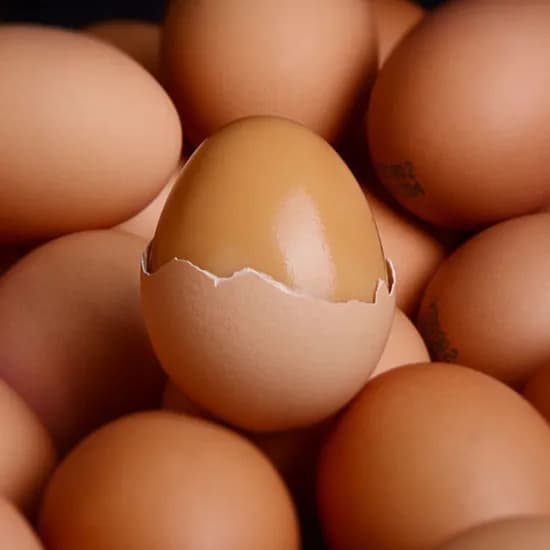 운계란 - Product name.    *   60구 - Quantity.    *   11,500원 - Price (Remove).    Result