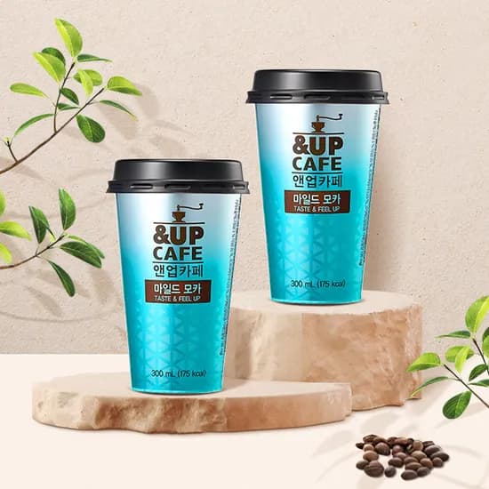 앤업카페 마일드모카 300ml 10개