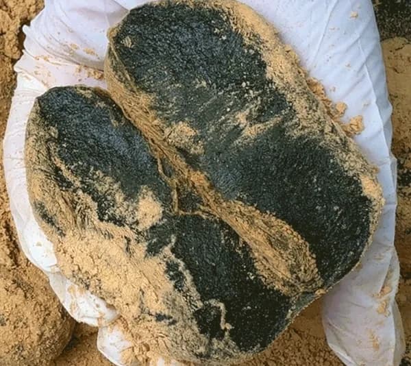 하람떡방 쑥인절미 1kg 콩고물 8,680