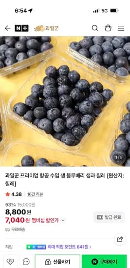칠레산 생 블루베리 대과 125g 3팩