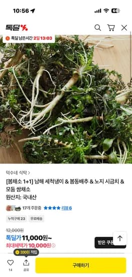 국내산 남해 세척냉이 250g 1+1