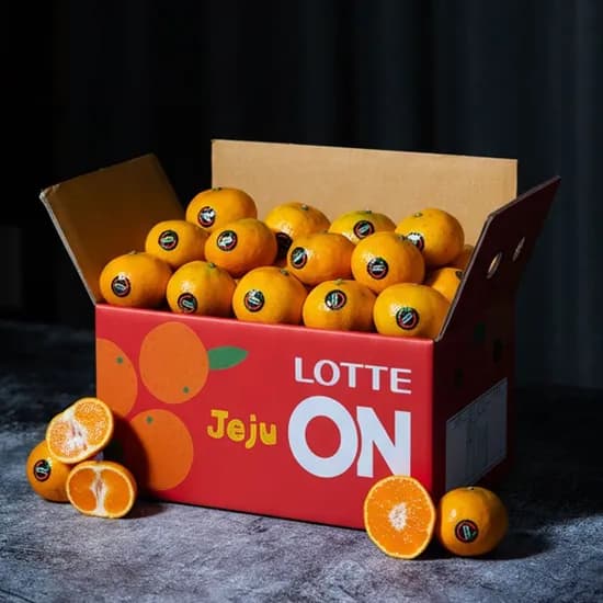 12브릭스 이상 타이벡 감귤 4.5kg 중대과