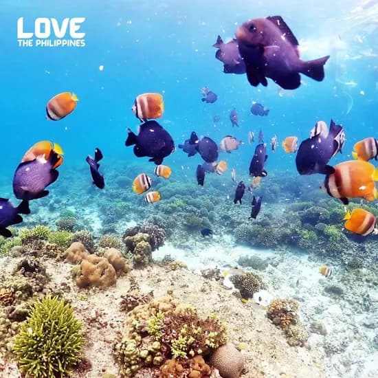 보라카이 라까멜라 리조트 패키지 3박4일