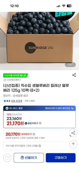 칠레산 생블루베리 125g 10팩
