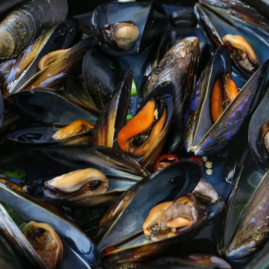 통영 세척 다듬이 홍합 5kg